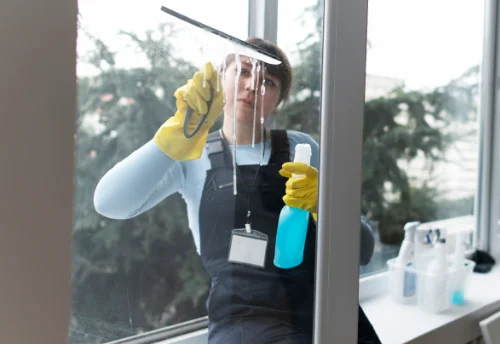 Nettoyage de vitres intérieures et extérieures à Hallines